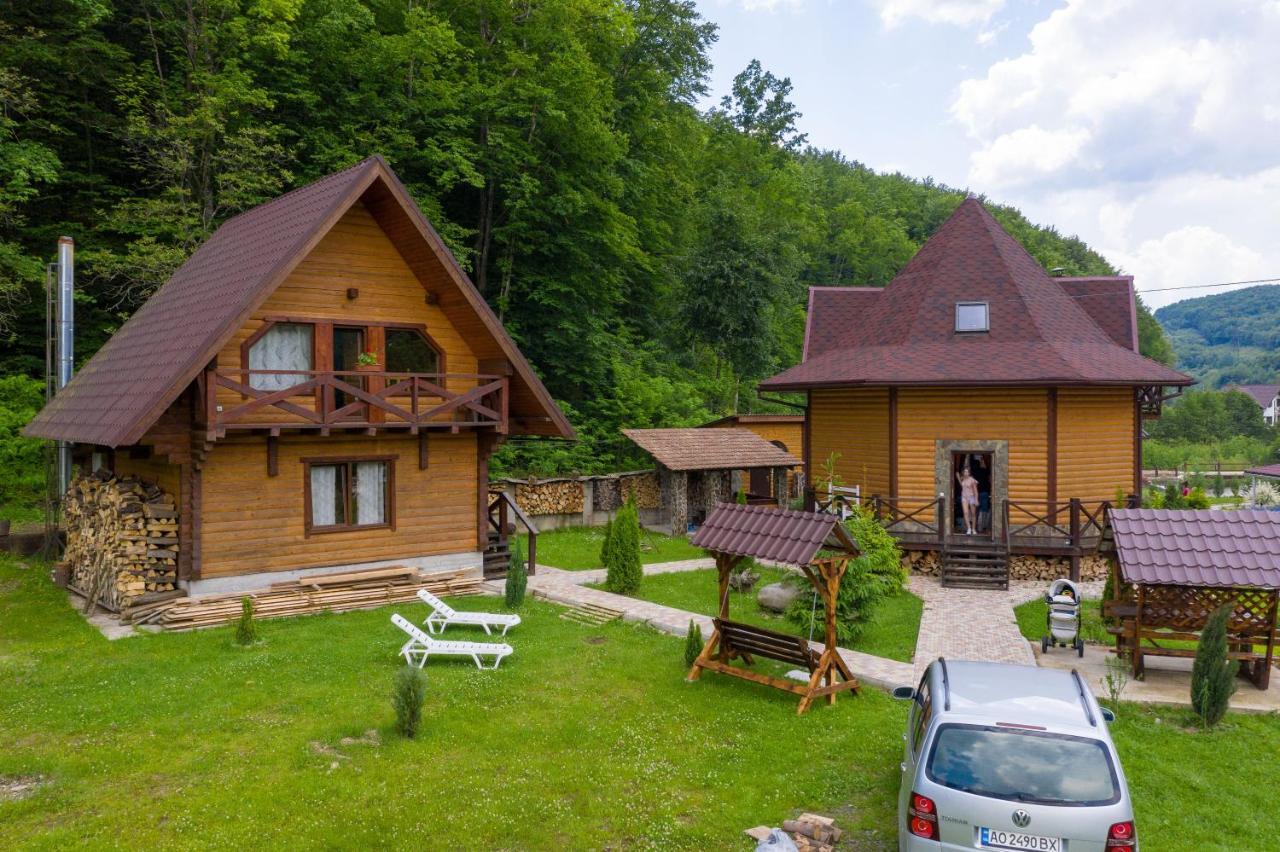 Chalet Vedmezhe Polyana  Exterior photo