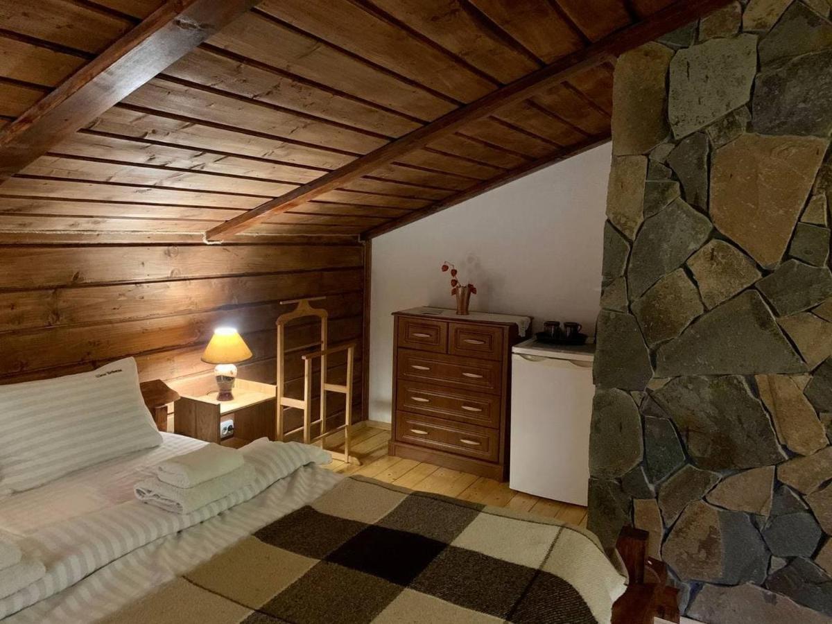 Chalet Vedmezhe Polyana  Exterior photo