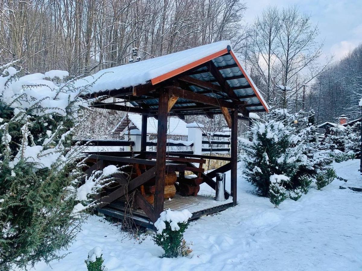 Chalet Vedmezhe Polyana  Exterior photo