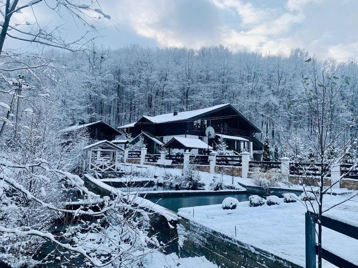 Chalet Vedmezhe Polyana  Exterior photo
