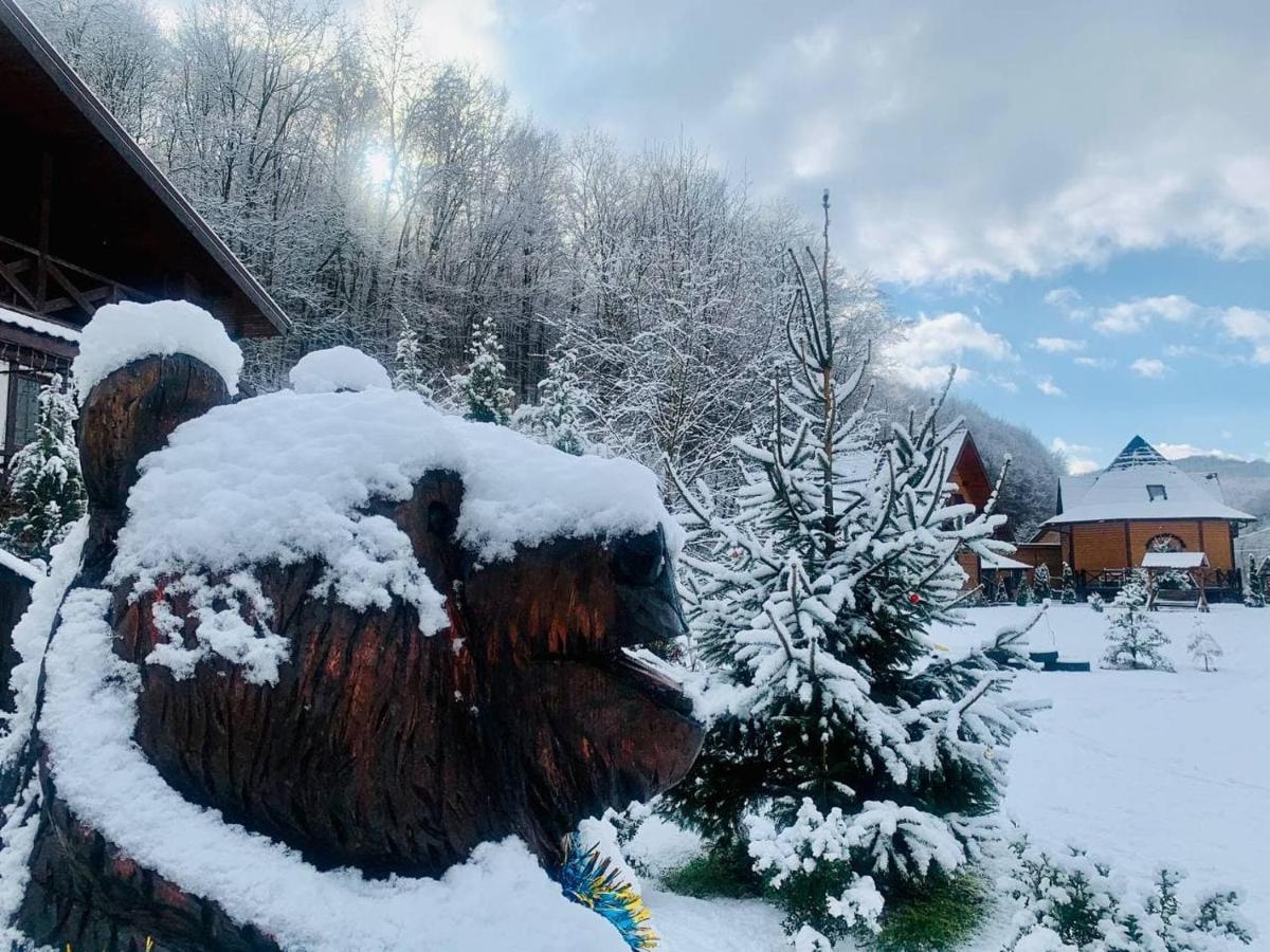 Chalet Vedmezhe Polyana  Exterior photo