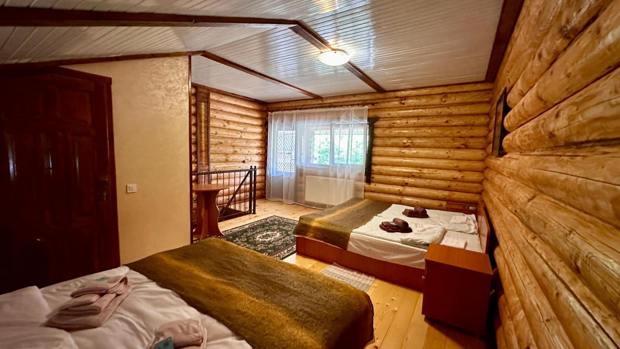 Chalet Vedmezhe Polyana  Exterior photo